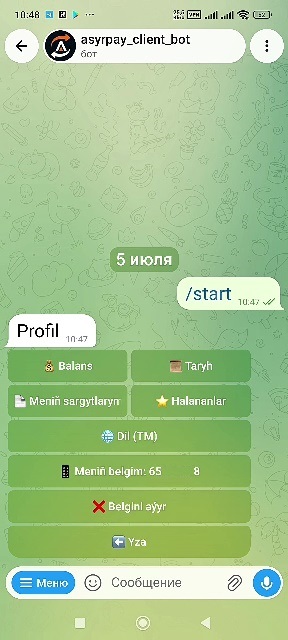 howto-bot/start-bot-tm/04-profile.jpg