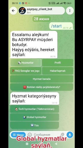 howto-bot/usdt-bep20-bot-tm/02-global-services.jpg