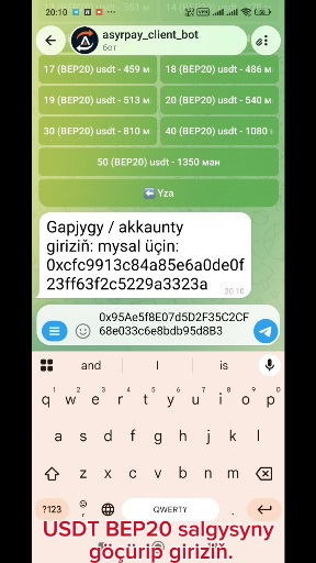howto-bot/usdt-bep20-bot-tm/05-address-input.jpg
