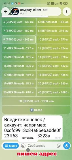 howto-bot/usdt-bep20-bot/05-address-input.jpg