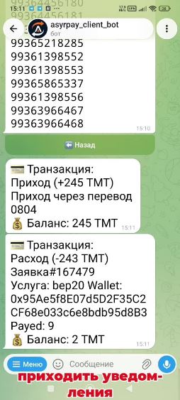 howto-bot/usdt-bep20-bot/09-notify.jpg