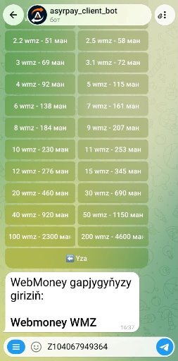 howto-bot/wmz-bot-tm/05-wallet-input.jpg